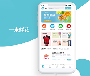 承德IOS APP定制支付电商系统软件解决方案，提升您的企业竞争力【最后疯抢，价格再降】